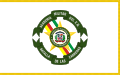Bandera de la Academia Militar Batalla de las Carreras