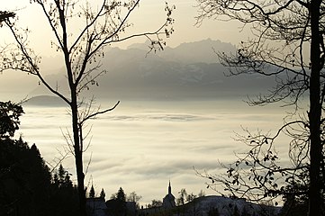 Rhine Valley