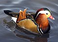 69
