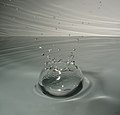 91