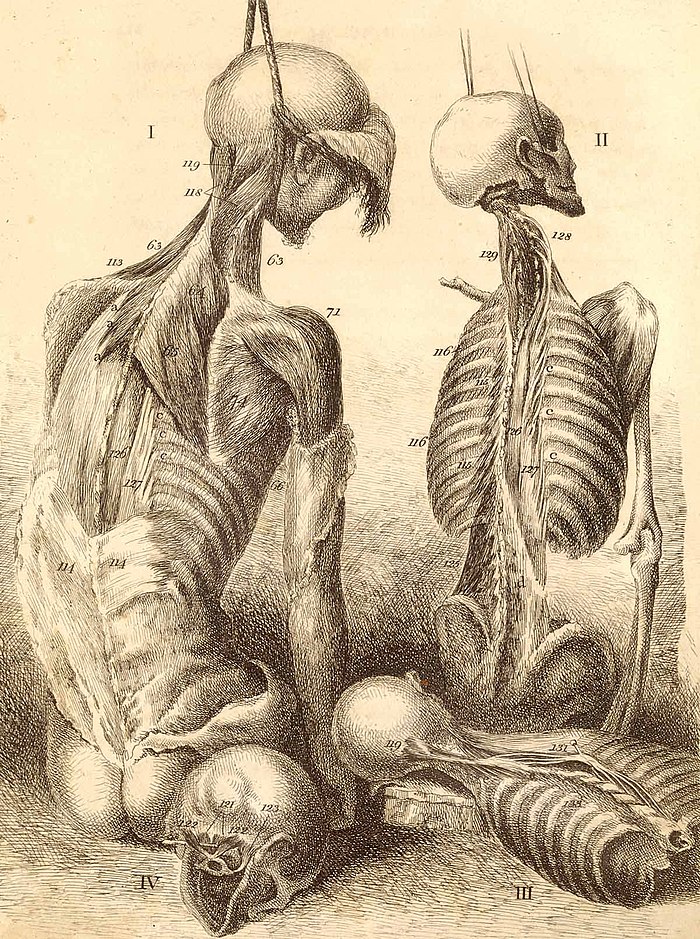 92